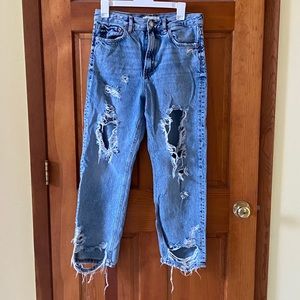 Zara The Pepper Mom Jeans